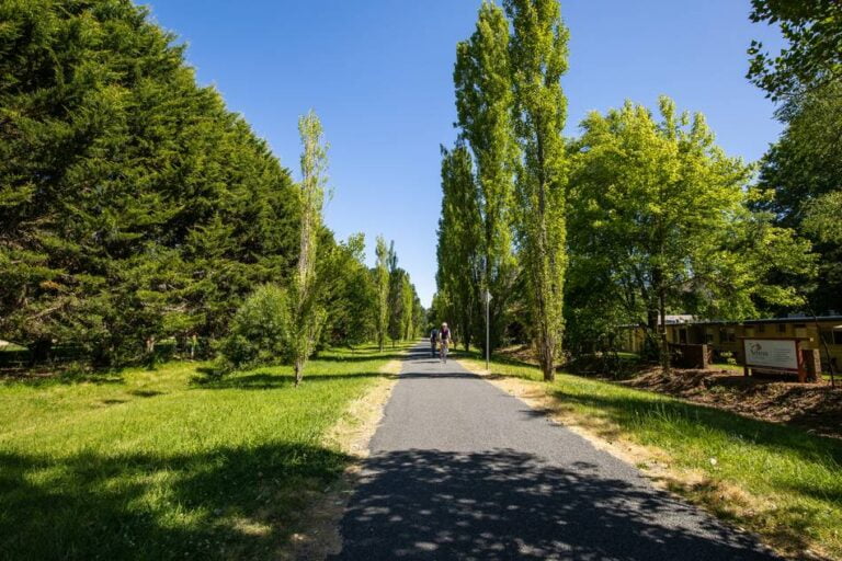 Apartment 5 - Rail Trail View